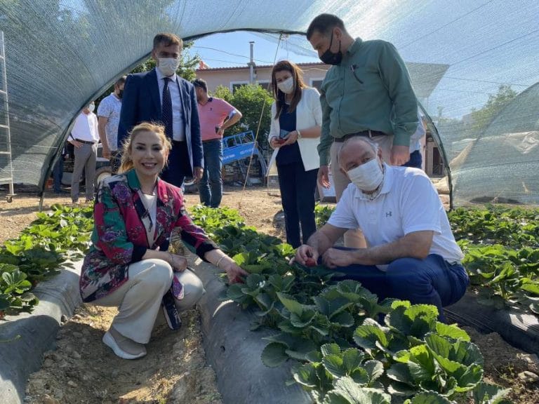 Yatağan’a Tarım Yatırımı