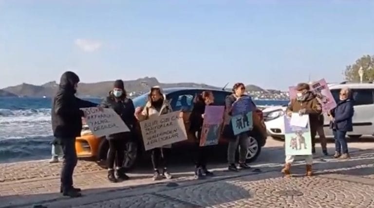 Kaybolan Köpek İçin Eylem Yaptılar