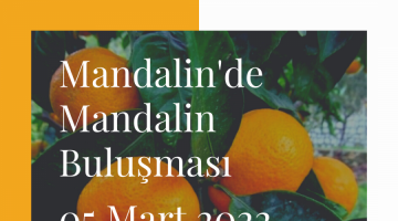 Mandalin’de Mandalin Buluşması