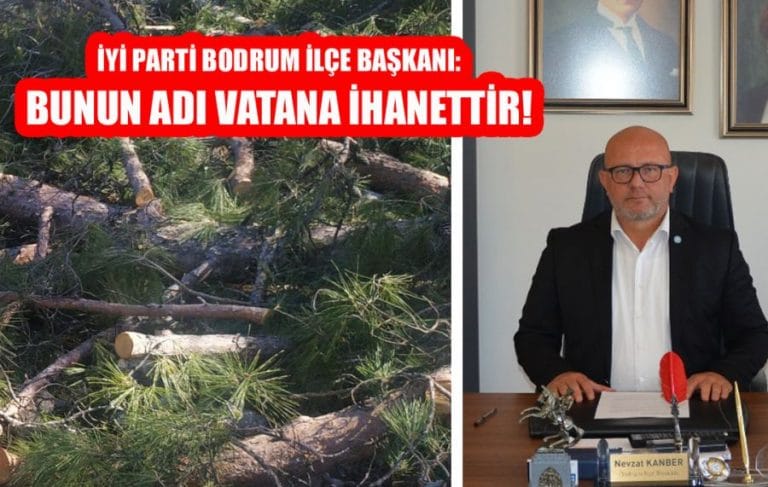 Mazı’daki Ağaç Kıyımını Durdurun!