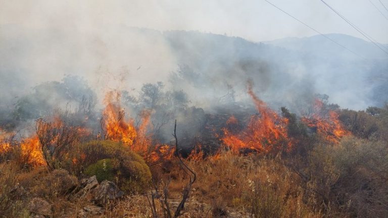 Dalaman’da Orman Yangını Korkuttu