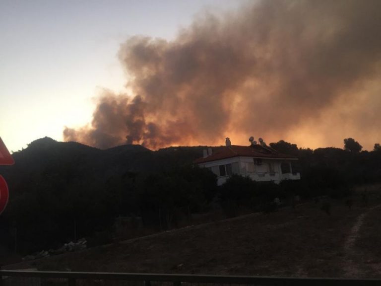 Ula Orman Yangını Korkuttu