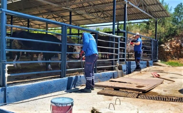 Büyükşehir Mezbahaları Kurban Bayramı’na Hazır