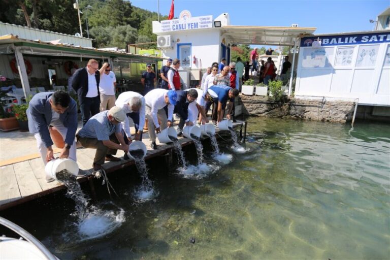 Bodrum Torba’dan 10 Ton Atık Çıktı