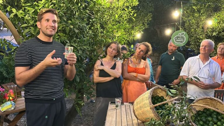 Yeşil Bodrum Mandalin Hasadı Başladı