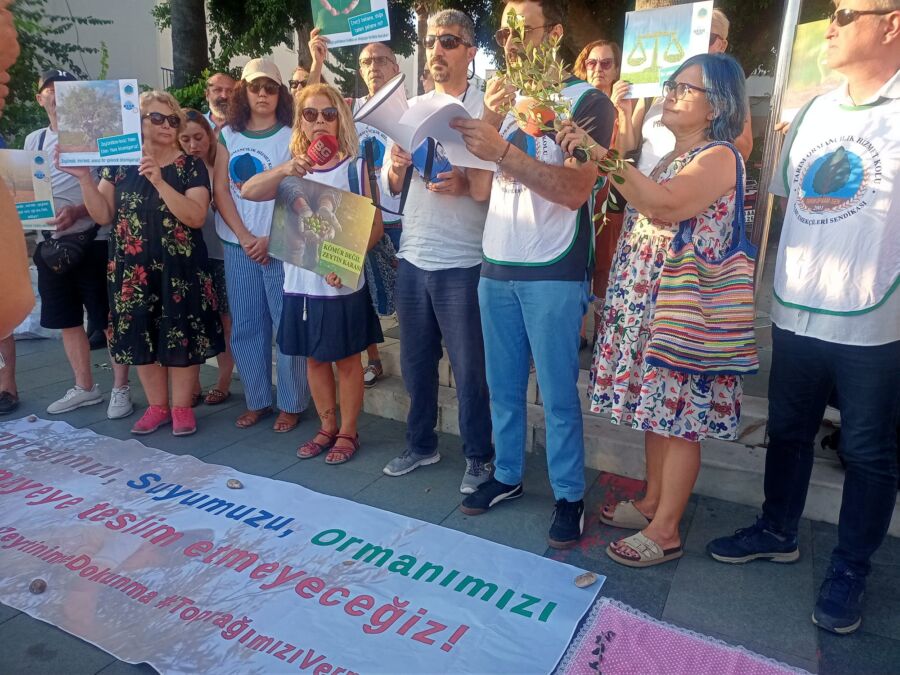 Bodrum’da Zeytinin Sahibi Var