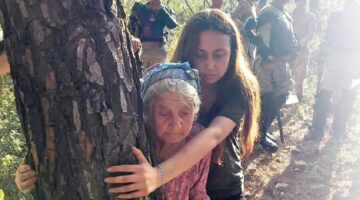 Zeytin, Bodrum’u Çağırıyor