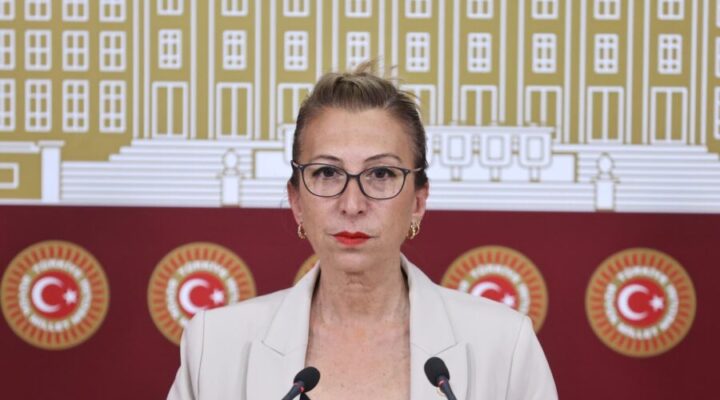 CHP’li Derici: “Milas’ta maden limanı yapılmasın, İasos cennet kalsın!”