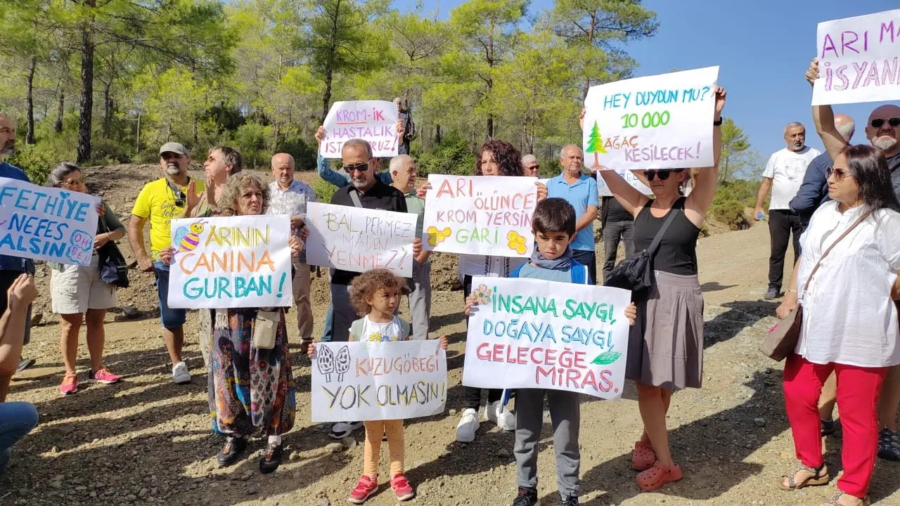 Muğla’da Doğa Alarmı: 4 Bin 450 Hektar Ormanlık Alan Madene Açılıyor 1 mapeg bodrum maden doga3