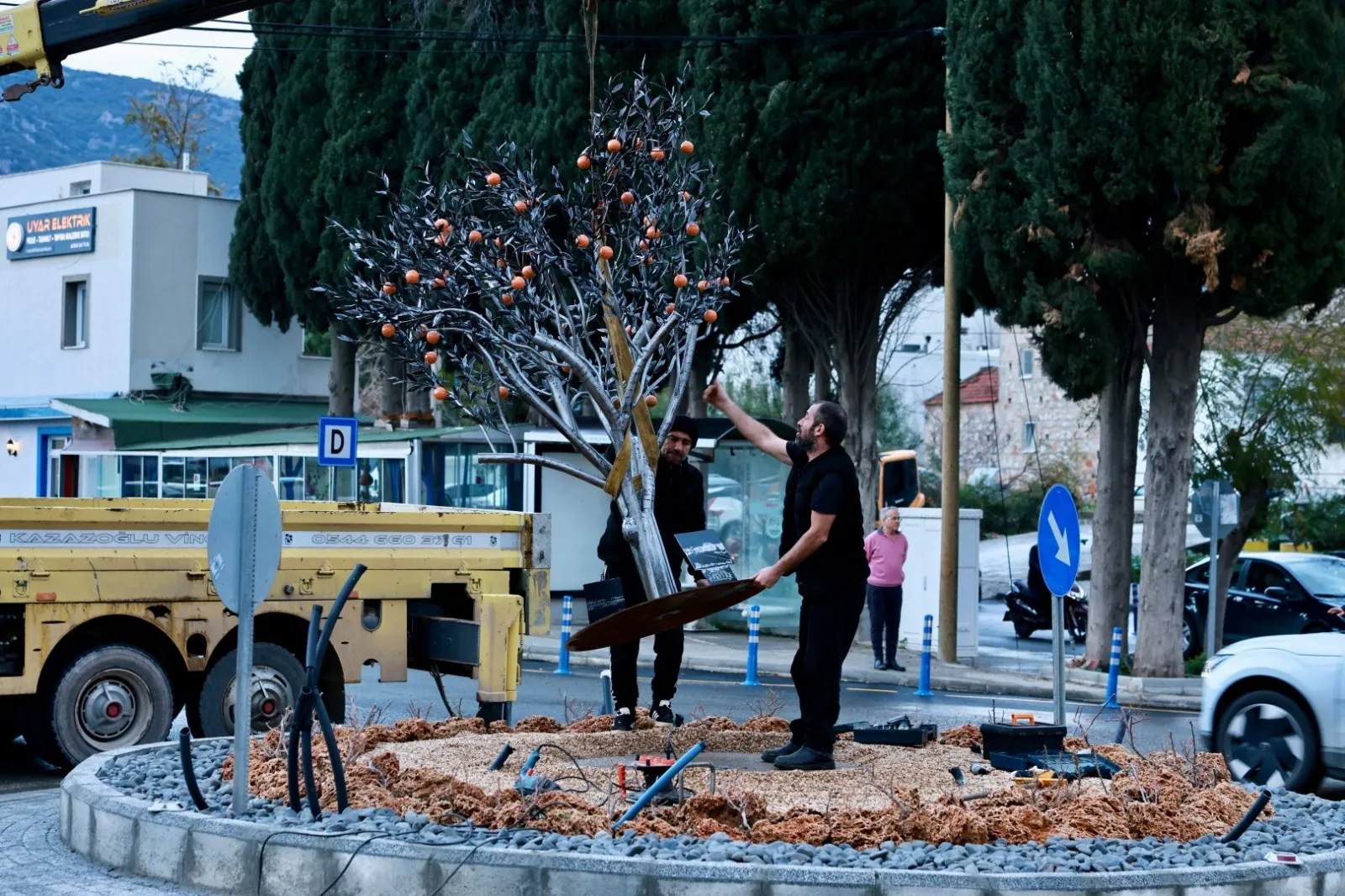 musgebi bodrum mandalin trafik3