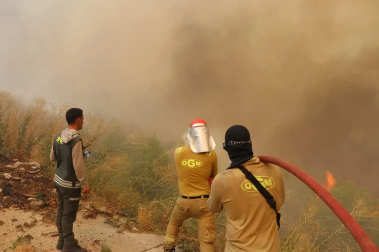 Seydikemer’de Yangın! Köyler Tahliye Edildi, Hastane Boşaltıldı!