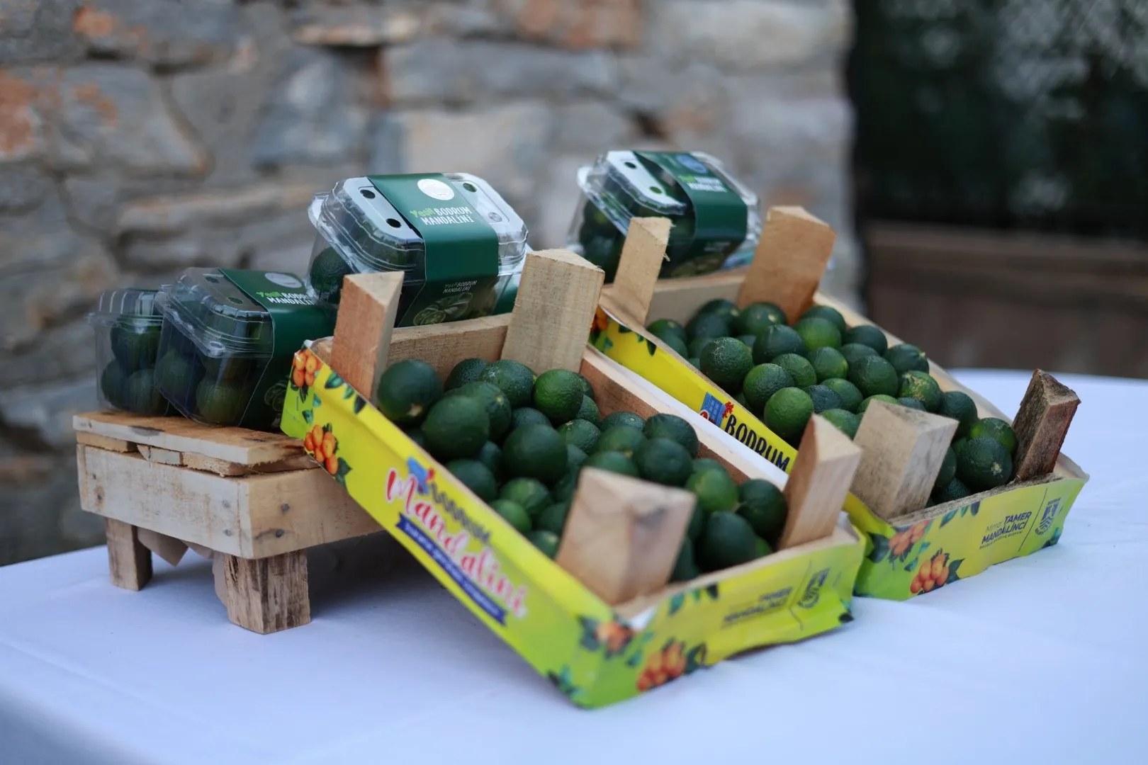 Yesil Bodrum Mandalini Sektor Bulusmasi Gerceklesti 4