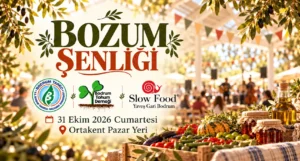 Bodrum’un Tarımsal Kimliğine Sahip Çıkan Buluşma: Ortakent Bozum Şenliği Kapılarını Açıyor