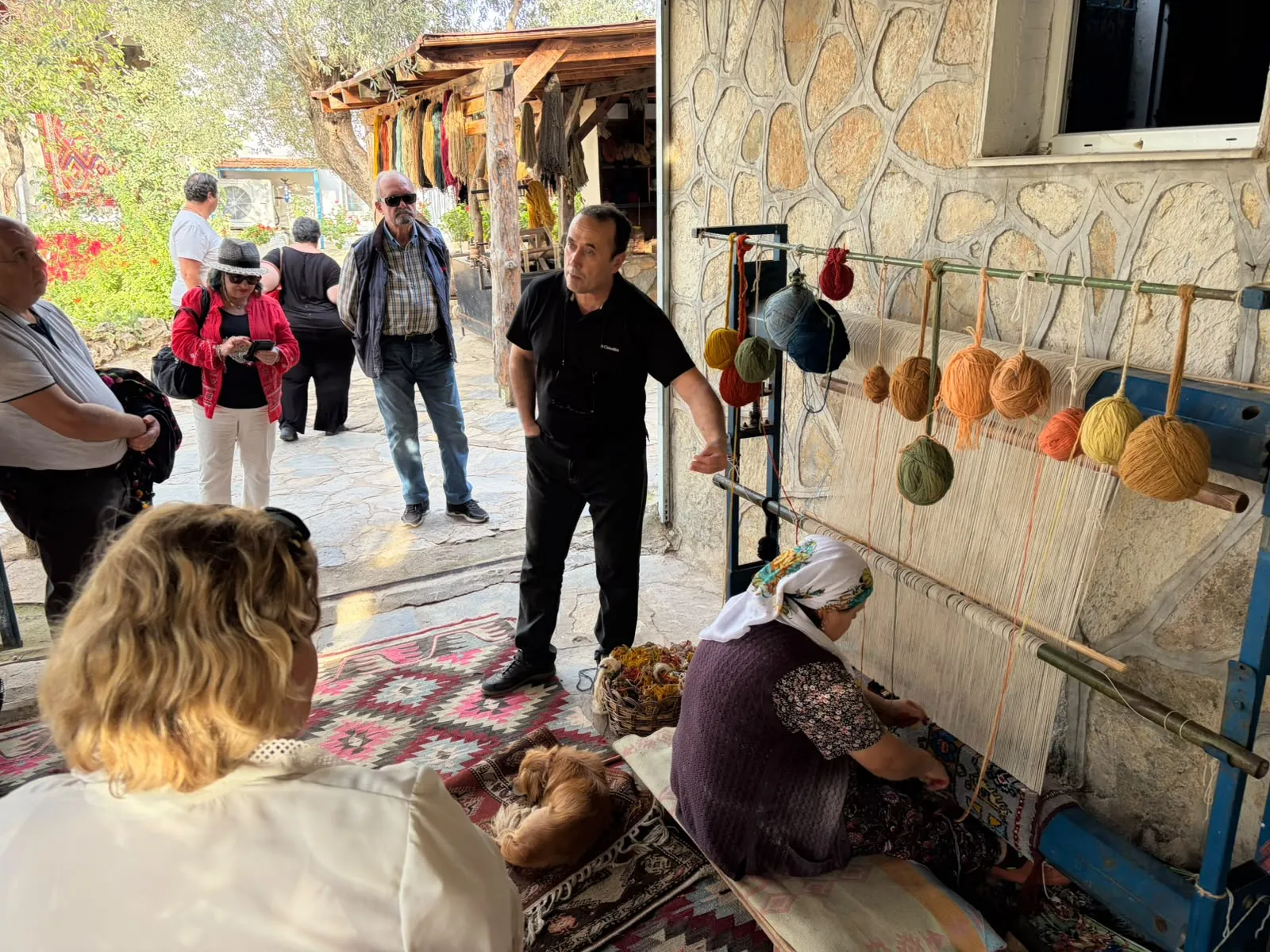 agro bodrum rotasi6